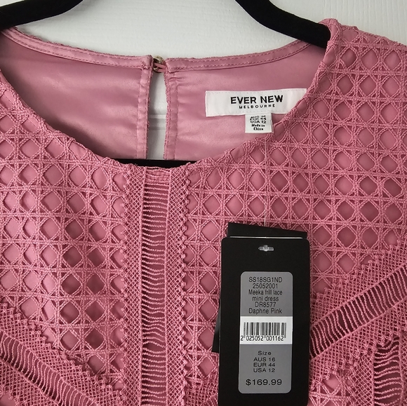 Ever New Pink Lace Dress, Size 12 - Picture 4 of 7